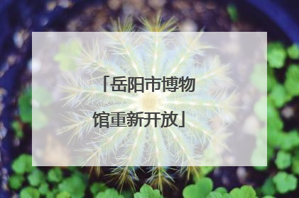 岳阳市博物馆重新开放